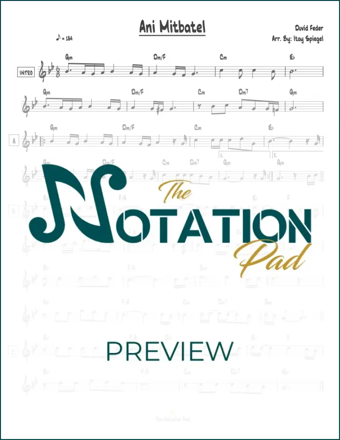 Ani Mitbatel - Lead Sheet - Sheet Music