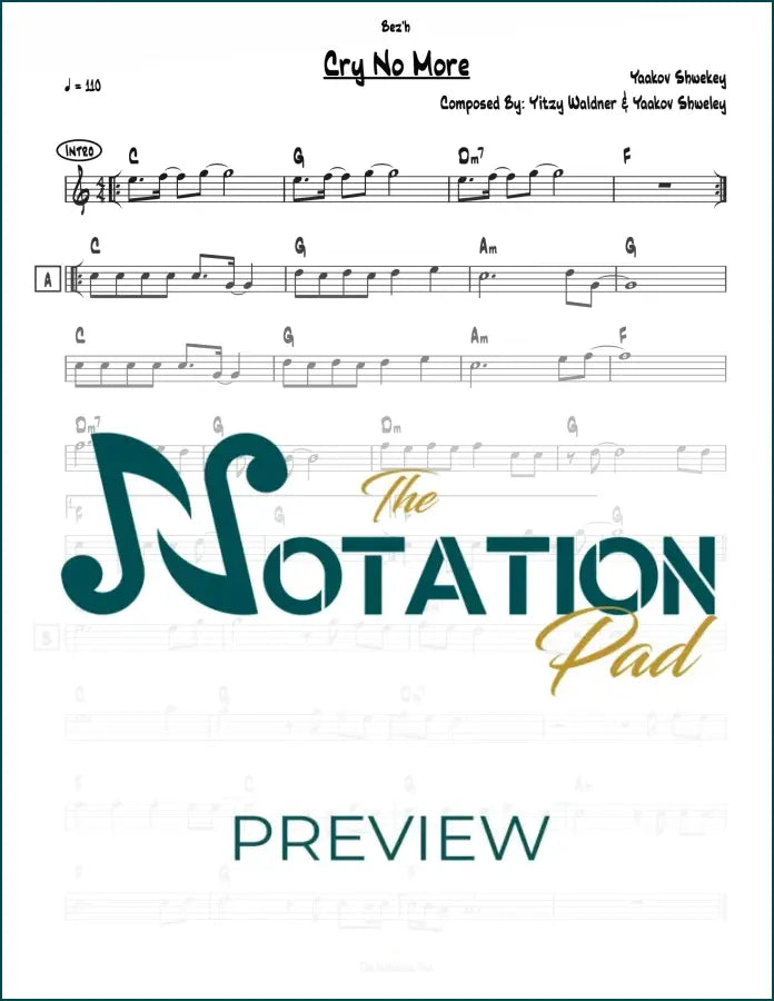 Cry No More - Shwekey - Lead Sheet - Sheet Music