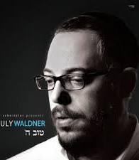 Shauly Waldner
