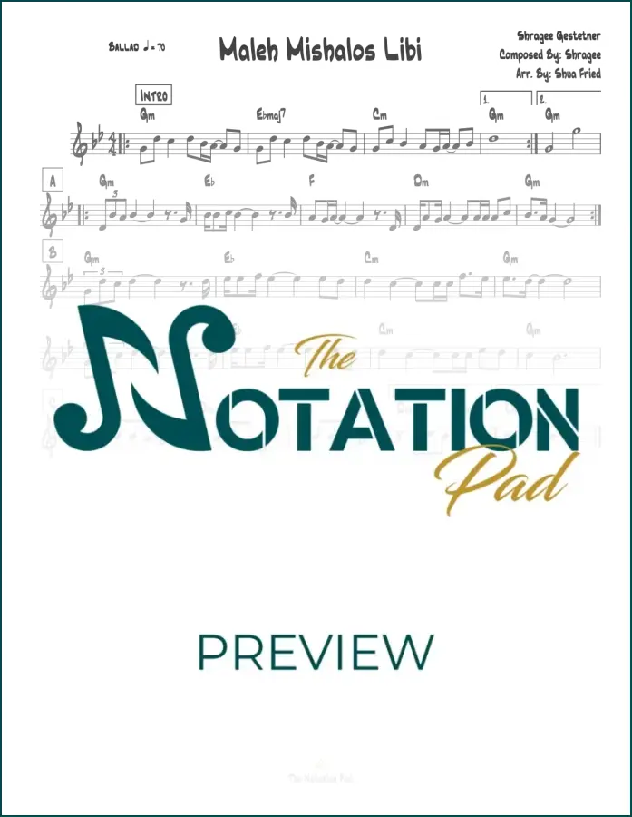 Maleh - Shragee - Lead Sheet - Sheet Music