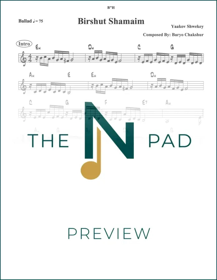 Sheet music for Birshus by Shwekey from The Notation Pad, showing musical notes and lyrics on a printed lead sheet.