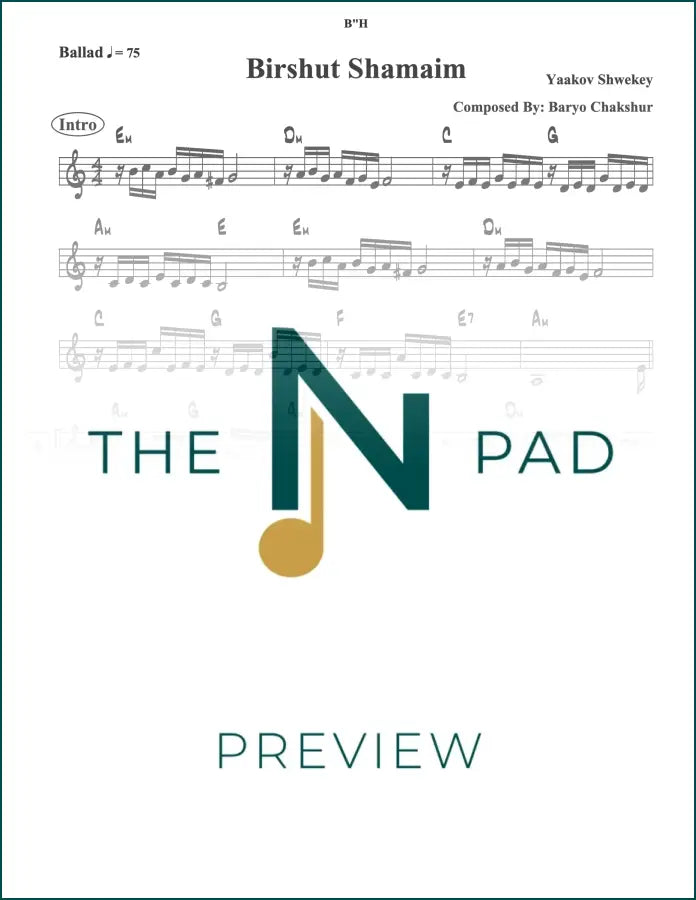 Sheet music for "Birshus" by Shwekey from The Notation Pad, showing musical notation on a printed lead sheet.