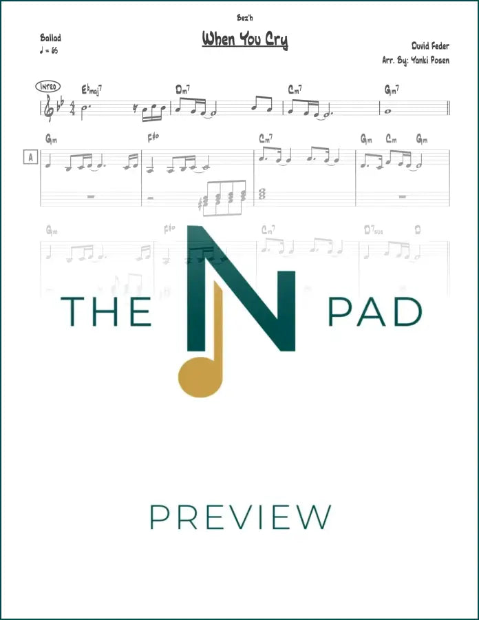 Sheet music for "When You Cry" by Feder, a lead sheet from The Notation Pad, showing musical notes on a printed page.