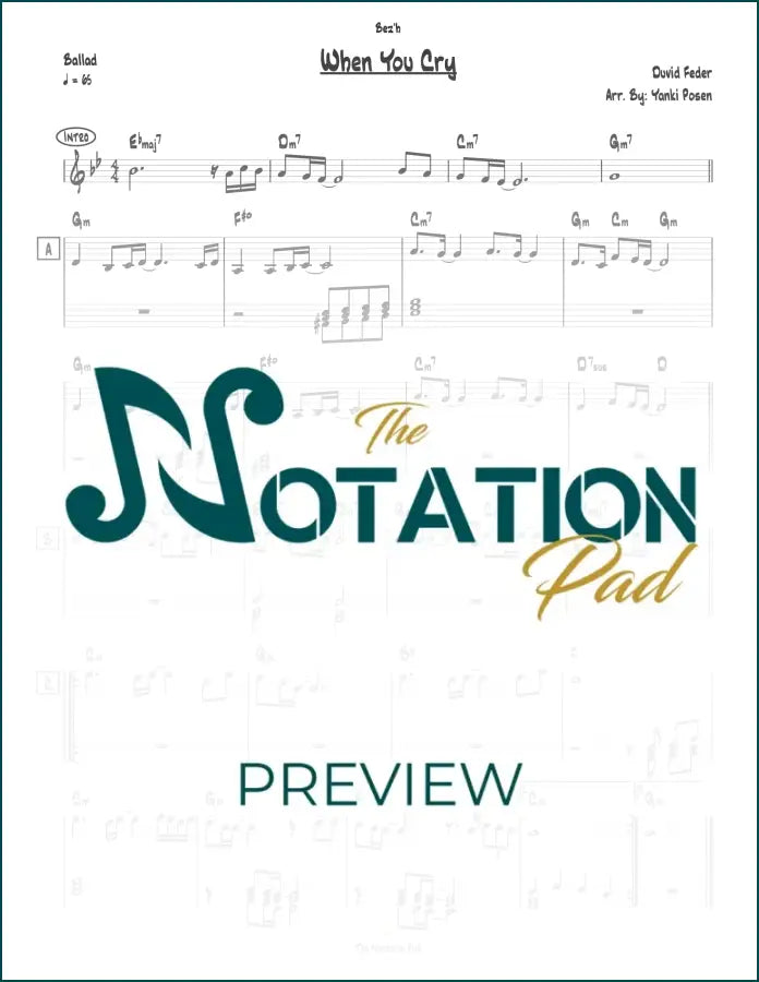 When You Cry - Feder - 2-Liner - Sheet Music